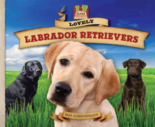 Lovely Labrador Retrievers: Gentle! Loyal! Loving! Friendly! Devoted! Keen!