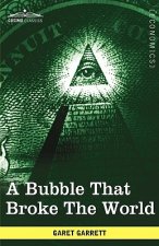 A Bubble That Broke the World