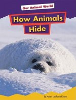 How Animals Hide