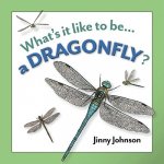 A Dragonfly?