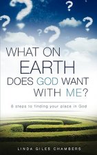 What on Earth Does God Want with Me?