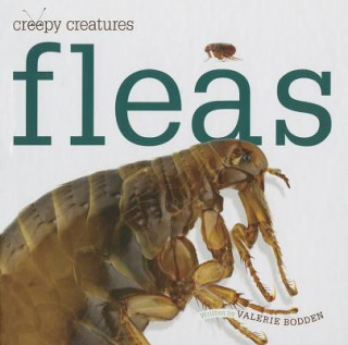 Fleas