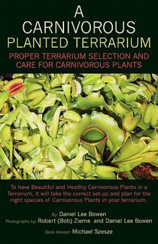 Carnivorous Planted Terrarium