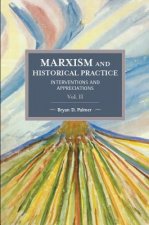 Marxism And Historical Practice: Interventions And Appreciations Volume Ii