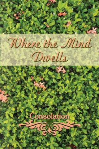 Where the Mind Dwells: Consolation