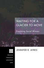 Waiting for a Glacier to Move