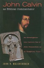 John Calvin as Biblical Commentator