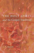Holy Spirit and the Gospel Tradition