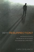 Why Resurrection?