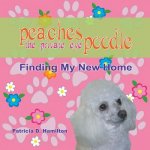 Peaches The Private Eye Poodle