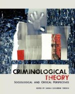 Criminological Theory: Sociological and Critical Perspectives