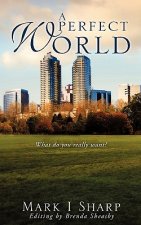 A Perfect World