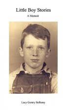 Little Boy Stories