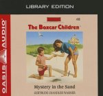 Mystery in the Sand
