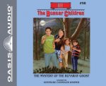 The Mystery of the Runaway Ghost
