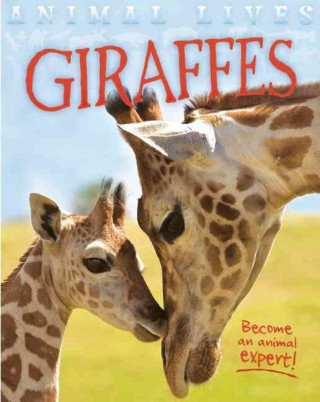 Giraffes