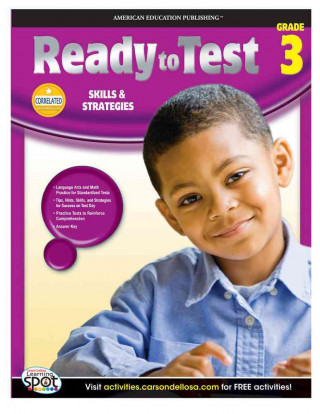 Ready to Test, Grade 3: Skills & Strategies