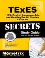 TExES (113) English Language Arts and Reading/Social Studies 4-8 Exam Secrets Study Guide: TExES Test Review for the Texas Examinations of Educator St