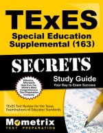 TExES (163) Special Education Supplemental Exam Secrets Study Guide: TExES Test Review for the Texas Examinations of Educator Standards