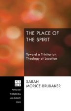 The Place of the Spirit: Toward a Trinitarian Theology of Location