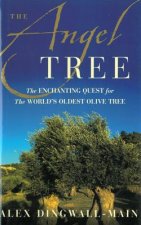 The Angel Tree: The Enchanting Quest for the World's Oldest Olive Tree