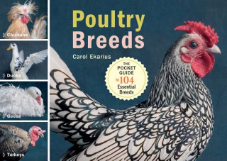 Poultry Breeds