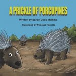 A Prickle of Porcupines