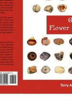 Garden Flower Seeds
