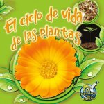 El Ciclo de Vida de Las Plantas (Plant Life Cycles)