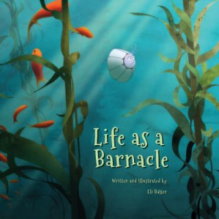 Life as a Barnacle