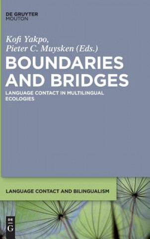 Boundaries and Bridges