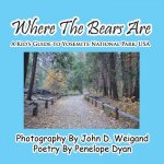 Where the Bears Are---A Kid's Guide to Yosemite National Park, USA