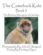 Comeback Kids -- Book 9 -- The Barbary Macaques of Gibraltar