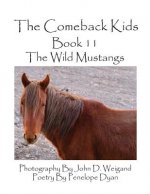 Comeback Kids--Book 11--The Wild Mustangs
