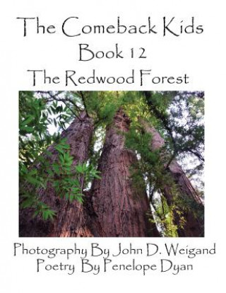 Comeback Kids, Book 12, the Redwood Forest