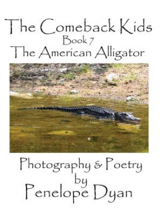 Comeback Kids, Book 7, the American Alligator
