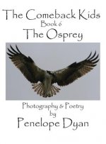 Comeback Kids, Book 6, the Osprey