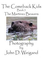 Comeback Kids, Book 5, the Martinez Beavers