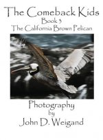 Comeback Kids, Book 3, the California Brown Pelican