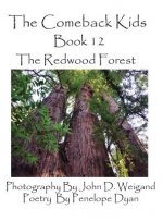 Comeback Kids, Book 12, the Redwood Forest