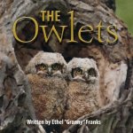 Owlets