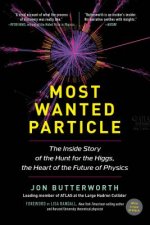 Most Wanted Particle: The Inside Story of the Hunt for the Higgs, the Heart of the Future of Physics