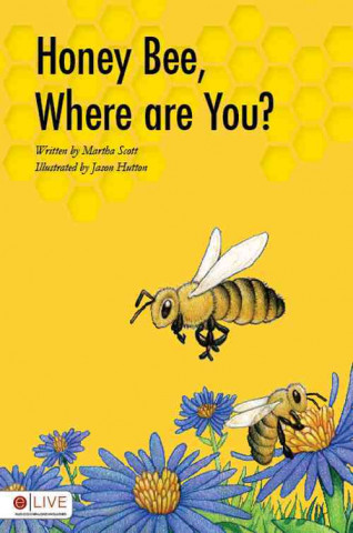 Honey Bee, Where Are You?