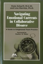 Navigating Emotional Currents in Collaborative Divorce: A Guide to Enlightened Team Practice