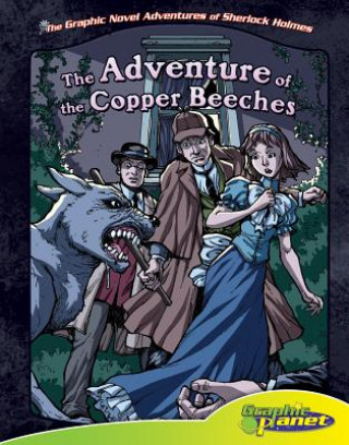 The Adventure of the Copper Beeches