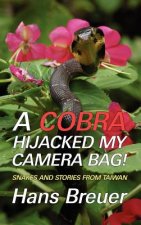 Cobra Hijacked My Camera Bag! Snakes and Stories from Taiwan