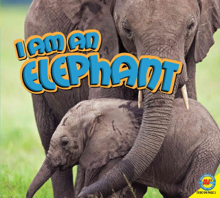 I Am an Elephant [With Web Access]