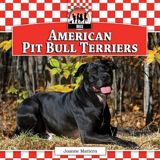 American Pit Bull Terriers