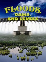 Floods, Dams, and Levees