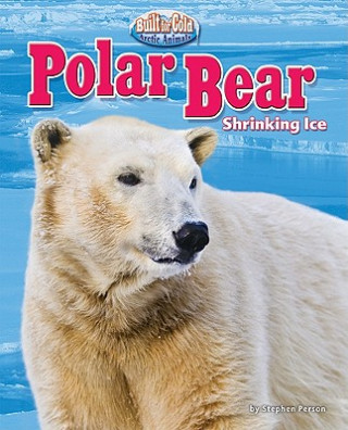 Polar Bear: Shrinking Ice